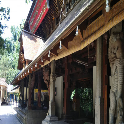 Mannarasala Ayilyam Sightseeing